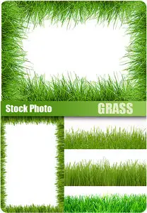 Stock Photo - Grass