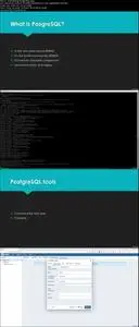 Database Series: The Definitive Guide to PostgreSQL