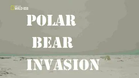 National Geographic - Destination Wild: Polar Bear Invasion (2017)