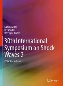 30th International Symposium on Shock Waves 2: ISSW30 - Volume 2