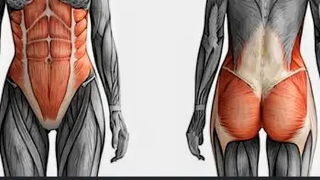 Strengthen Your Core – Improve Stability & Bedroom Stamina