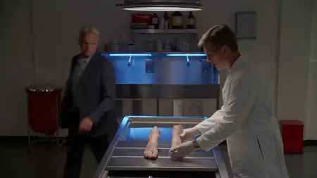 NCIS S17E04