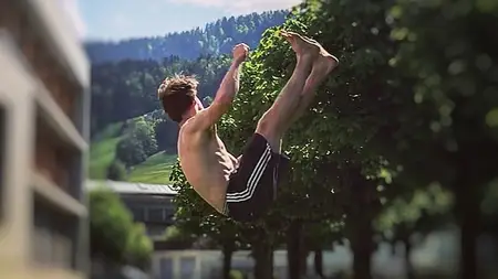 Flips & Kicks — Expert Guide to Martial Arts & Gymnastics