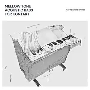 PastToFutureReverbs Mellow Tone Acoustic Bass For Kontakt & WAV! KONTAKT WAV