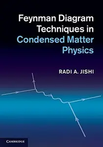 Feynman Diagram Techniques in Condensed Matter Physics