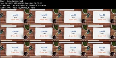 MongoDB with Java Spring Boot & Spring Framework