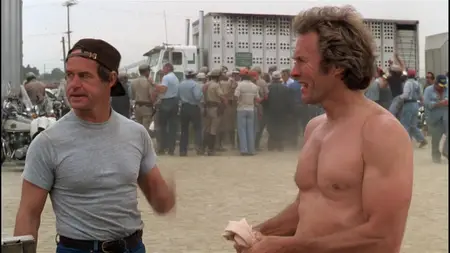 Any Which Way You Can (1980)