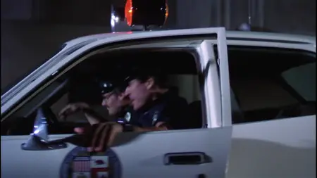 Any Which Way You Can (1980)