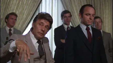 Any Which Way You Can (1980)