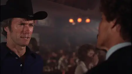 Any Which Way You Can (1980)