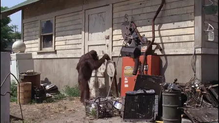 Any Which Way You Can (1980)