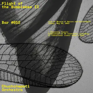 Chuchchepati Orchestra - Flight of the Bumblebee II (2024) [Official Digital Download]