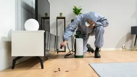 Pest Control And Management Certification - Fully Accredited