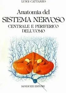 Luigi Cattaneo - Anatomia Del Sistema Nervoso Centrale E Periferico Dell'uomo