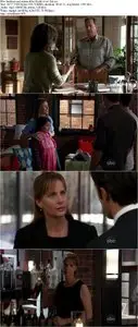 Brothers and Sisters S05E17-E18