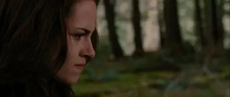 The Twilight Saga: Breaking Dawn - Part 2 (2012)