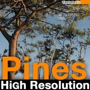 TextureKit Pines High Resolution Collection