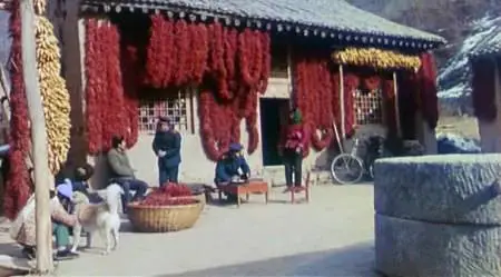 Zhang Yimou-Qiu Ju da guan si ('The Story of Qiu Ju') (1992)
