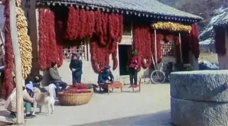 Zhang Yimou-Qiu Ju da guan si ('The Story of Qiu Ju') (1992)