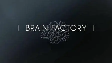 Terranoa - Brain Factory (2017)
