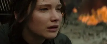 The Hunger Games: Mockingjay - Part 1 (2014)