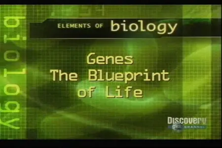 Assignment Discovery - Elements of Biology (2006)