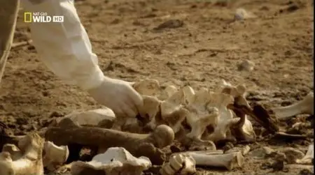 National geographic - World's Deadliest Animal Apocalypse (2014)