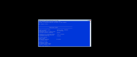 Windows Server, version 20H2 Build 19042.1165
