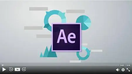 Adobe After Effects Expressions: Create Motion Infographics