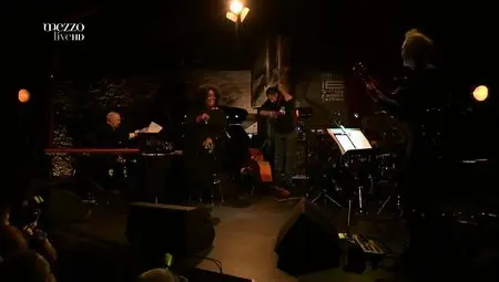 Dianne Reeves - Lotos Jazz Festival, Bielska Zadymka Jazzowa 2014 [HDTV 1080p]
