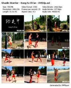 Shaolin Warrior - Kung Fu Ch'an