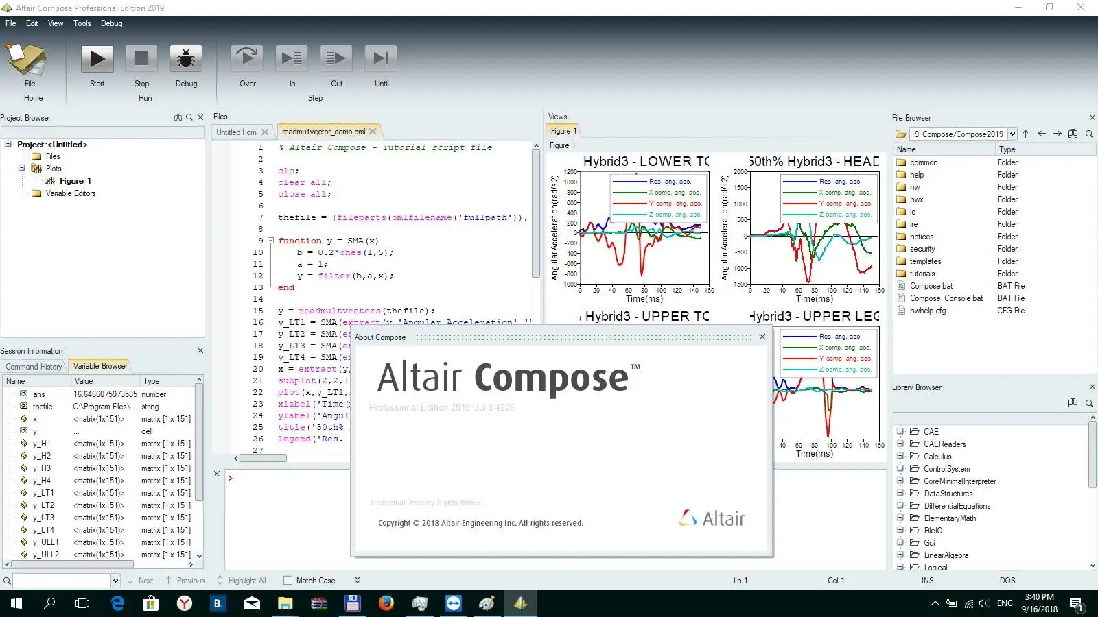 Altair SIMLAB. Altair Python. Altair activate/compose/embed. Altair Flow Simulator примеры.