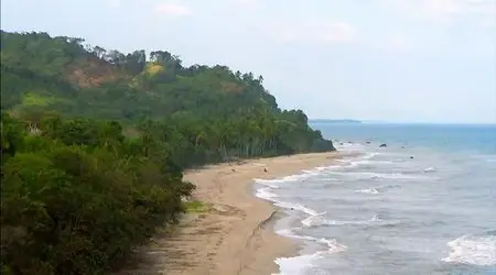 UKTV - Wild Colombia (2012)