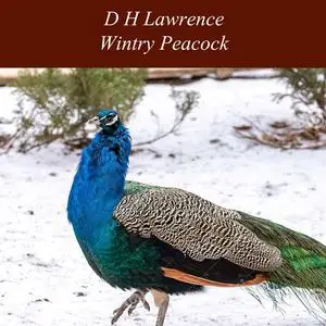 «Wintry Peacock» by David Herbert Lawrence