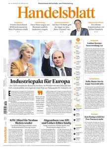 Handelsblatt  - 20 Februar 2024