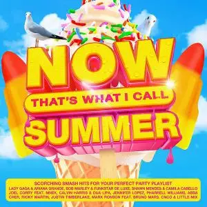 VA - NOW Thats What I Call Summer (4CD, 2021)