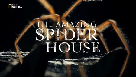 National Geographic - The Amazing Spider House (2015)