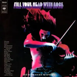 Various Artists - Fill Your Head With Rock (2 LP / FLAC)