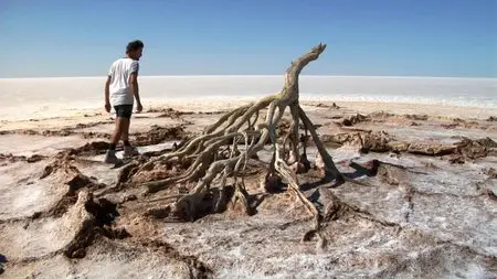 Salt (2009)