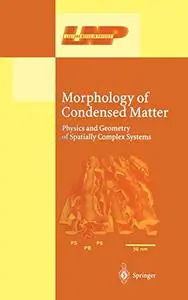 Morphology of Condensed Matter: Physics and Geometry of Spatially Complex Systems