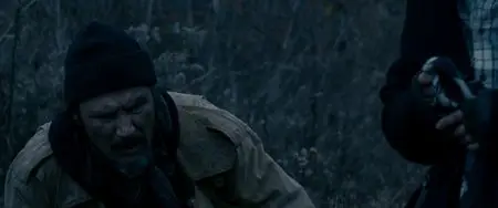 Stake Land (2010)