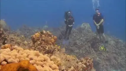 Peak Performance Buoyancy