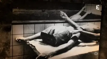 (Fr3) Au nom de la race et de la science - Strasbourg 1941 - 1944 (2013)