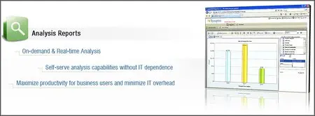Synaptris IntelliVIEW Report Analyzer v4.1.0.77
