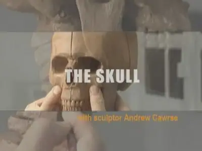 Mastering the head-skull with sculptore Andrew Cawrse