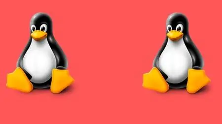 UNIX/LINUX Command For Beginners