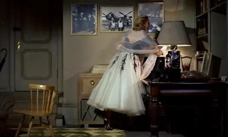 Rear Window (1954)