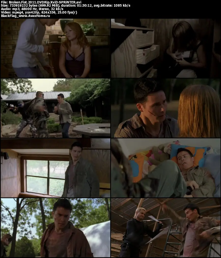 Broken Path / Broken Fist (2008)