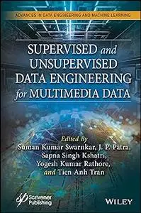 Supervised and Unsupervised Data Engineering for Multimedia Data