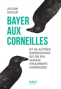 Bayer aux corneilles et 99 autres expressions qu'on a jamais (vraiment) comprises - Julien Soulié